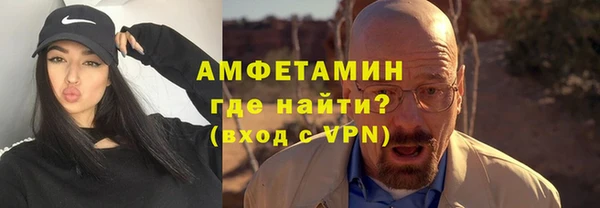 прущие грибы Заводоуковск