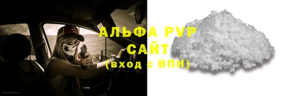 прущие грибы Заводоуковск