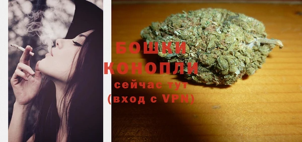 прущие грибы Заводоуковск