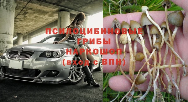 каннабис Елизово