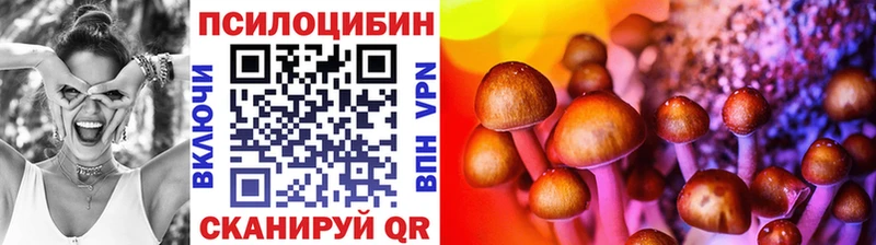 даркнет Telegram  Заволжье  Псилоцибиновые грибы GOLDEN TEACHER  где купить наркоту 