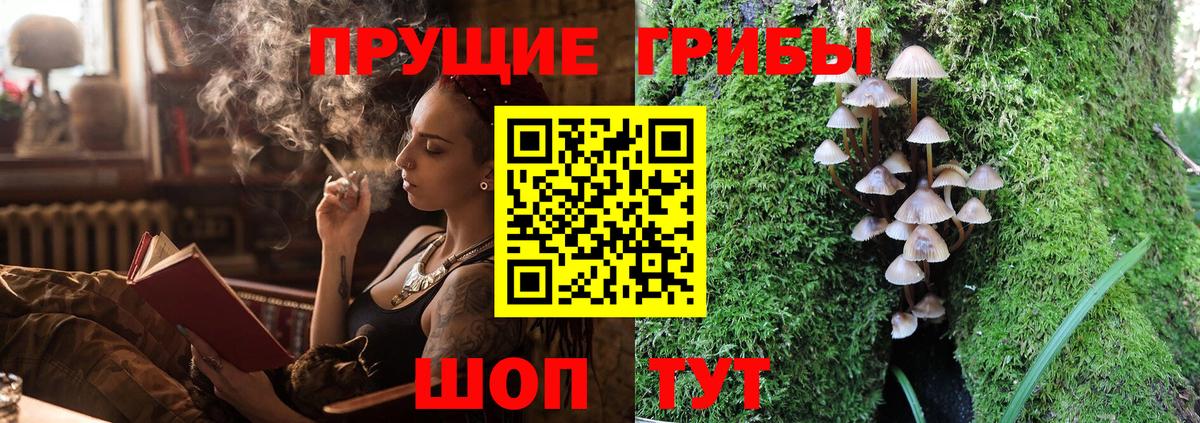 Галлюциногенные грибы Cubensis  Галлюциногенные грибы Psilocybine cubensis  Вход с VPN  Заволжье 